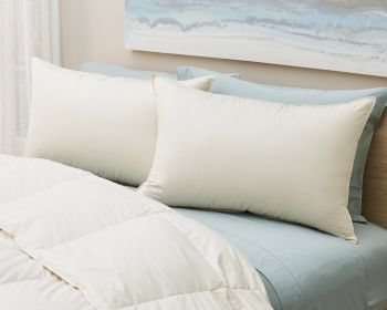 Cotton Lanadown Pillow Standard Firm