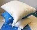 Kapok Sleep Pillows