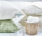 100% GOTS ORGANIC Cotton DECORATIVE PILLOWS (Option: Decorative 17x17 Pillow)